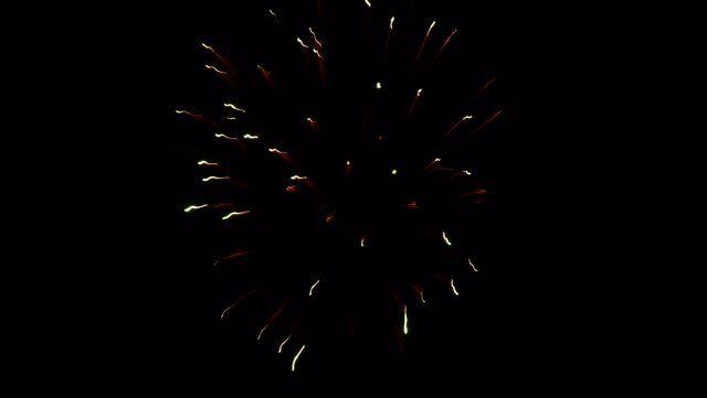 fireworks_07042009_050.jpg