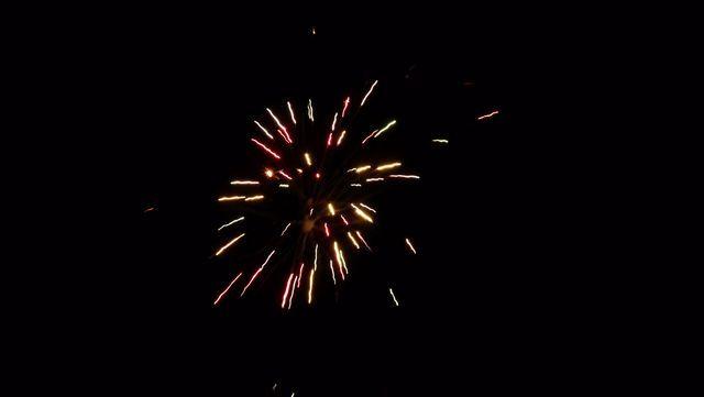 fireworks_07042009_056.jpg