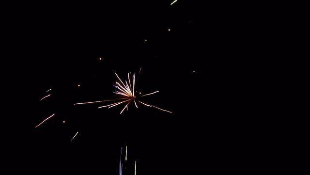 fireworks_07042009_107.jpg