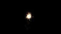 fireworks_07042009_042.jpg