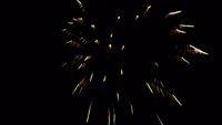 fireworks_07042009_045.jpg