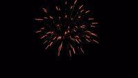 fireworks_07042009_049.jpg