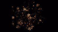 fireworks_07042009_054.jpg