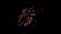 fireworks_07042009_056.jpg