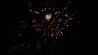 fireworks_07042009_059.jpg