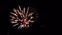 fireworks_07042009_062.jpg