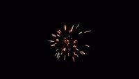 fireworks_07042009_065.jpg