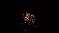 fireworks_07042009_066.jpg