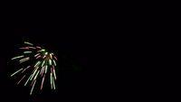 fireworks_07042009_071.jpg