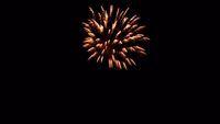 fireworks_07042009_074.jpg