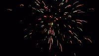 fireworks_07042009_075.jpg