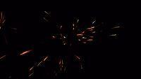 fireworks_07042009_077.jpg