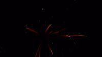 fireworks_07042009_080.jpg