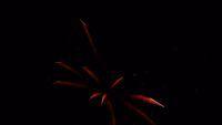 fireworks_07042009_083.jpg