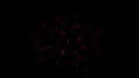 fireworks_07042009_086.jpg