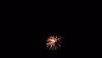 fireworks_07042009_087.jpg