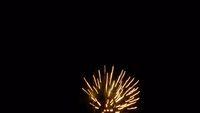 fireworks_07042009_089.jpg