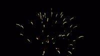 fireworks_07042009_090.jpg