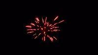 fireworks_07042009_091.jpg