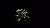 fireworks_07042009_092.jpg