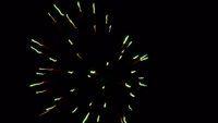 fireworks_07042009_094.jpg