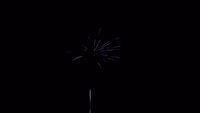 fireworks_07042009_096.jpg