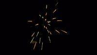 fireworks_07042009_097.jpg