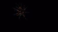 fireworks_07042009_099.jpg