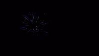 fireworks_07042009_101.jpg