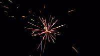 fireworks_07042009_102.jpg