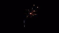 fireworks_07042009_105.jpg