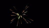 fireworks_07042009_108.jpg