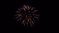 fireworks_07042009_109.jpg