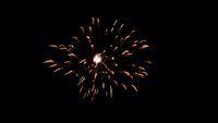 fireworks_07042009_110.jpg