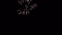 fireworks_07042009_112.jpg