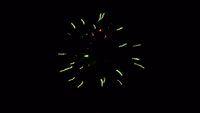 fireworks_07042009_113.jpg