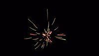 fireworks_07042009_114.jpg