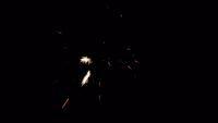 fireworks_07042009_116.jpg