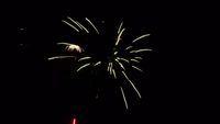 fireworks_07042009_119.jpg