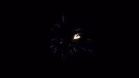 fireworks_07042009_121.jpg