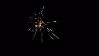 fireworks_07042009_122.jpg