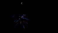 fireworks_07042009_123.jpg