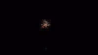 fireworks_07042009_124.jpg