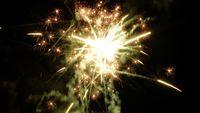 fireworks_07042009_134.jpg